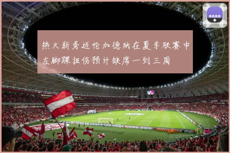 热火新秀迈伦加德纳在夏季联赛中左脚踝扭伤预计缺席一到三周