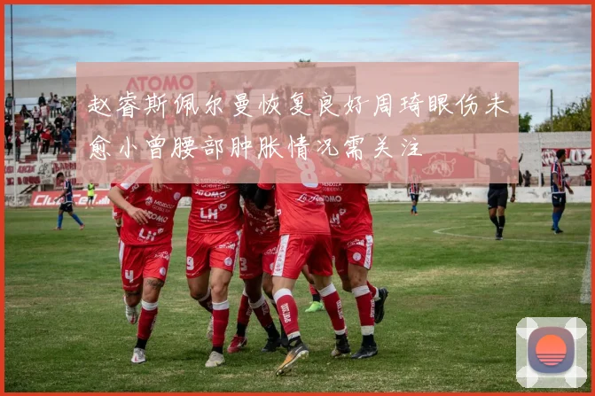 赵睿斯佩尔曼恢复良好周琦眼伤未愈小曾腰部肿胀情况需关注