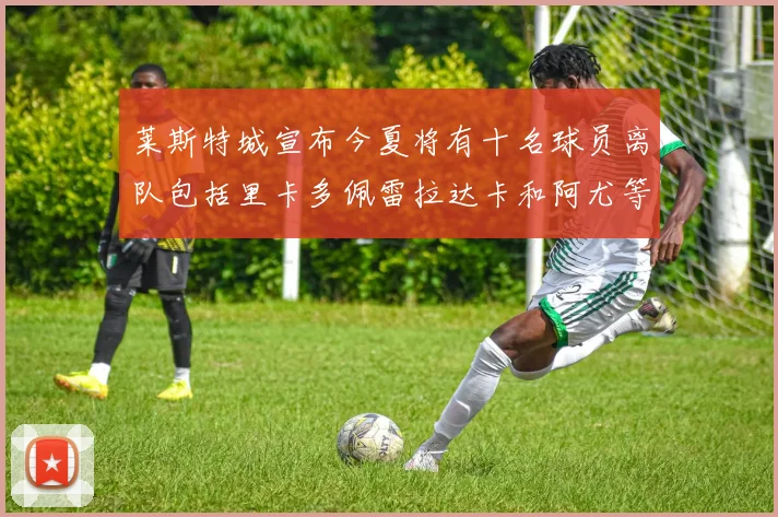 莱斯特城宣布今夏将有十名球员离队包括里卡多佩雷拉达卡和阿尤等人